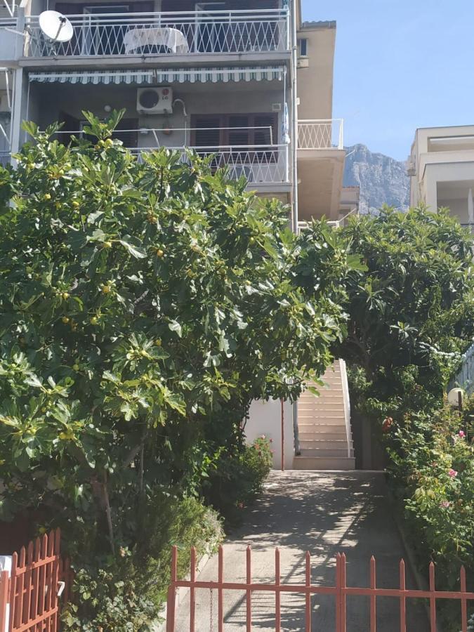 Apartment Pavlinovic Jure *